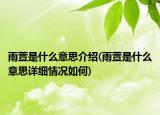 雨萱是什么意思介紹(雨萱是什么意思詳細情況如何)