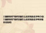 三國(guó)群英傳7用修改器怎么該武將的名字啊介紹(三國(guó)群英傳7用修改器怎么該武將的名字啊詳細(xì)情況如何)