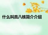 什么叫真八核簡(jiǎn)介介紹
