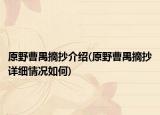 原野曹禺摘抄介紹(原野曹禺摘抄詳細情況如何)