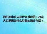 四川涼山火災(zāi)是什么引起的（涼山火災(zāi)原因是什么引起的簡介介紹）