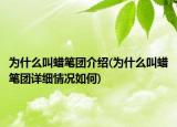 為什么叫蠟筆團介紹(為什么叫蠟筆團詳細情況如何)