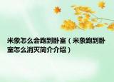 米象怎么會(huì)跑到臥室（米象跑到臥室怎么消滅簡介介紹）