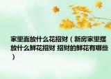 家里面放什么花招財（新房家里擺放什么鮮花招財 招財?shù)孽r花有哪些）
