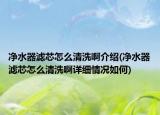 凈水器濾芯怎么清洗啊介紹(凈水器濾芯怎么清洗啊詳細情況如何)