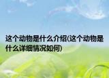 這個動物是什么介紹(這個動物是什么詳細情況如何)