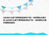 山東有什么便于攜帶的吃的特產(chǎn)嗎(一時間真有點蒙介紹 山東有什么便于攜帶的吃的特產(chǎn)嗎 一時間真有點蒙詳細(xì)情況如何)