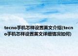 tecno手機怎樣設(shè)置英文介紹(tecno手機怎樣設(shè)置英文詳細(xì)情況如何)