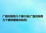 廣西賓陽有幾個鎮(zhèn)介紹(廣西賓陽有幾個鎮(zhèn)詳細情況如何)