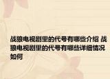 戰(zhàn)狼電視劇里的代號有哪些介紹 戰(zhàn)狼電視劇里的代號有哪些詳細(xì)情況如何