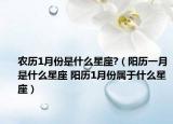 農(nóng)歷1月份是什么星座?（陽(yáng)歷一月是什么星座 陽(yáng)歷1月份屬于什么星座）