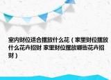 室內(nèi)財位適合擺放什么花（家里財位擺放什么花卉招財 家里財位擺放哪些花卉招財）