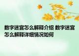 數(shù)字迷宮怎么解釋介紹 數(shù)字迷宮怎么解釋詳細(xì)情況如何