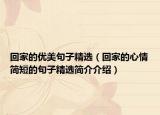 回家的優(yōu)美句子精選（回家的心情簡短的句子精選簡介介紹）