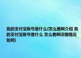 我的支付寶賬號是什么(怎么看啊介紹 我的支付寶賬號是什么 怎么看啊詳細情況如何)