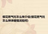 櫻花燃?xì)庠钤趺礃咏榻B(櫻花燃?xì)庠钤趺礃釉敿?xì)情況如何)