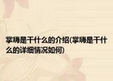 掌嗨是干什么的介紹(掌嗨是干什么的詳細(xì)情況如何)