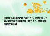 沙鷹和柯爾特蟒蛇哪個(gè)威力大?（現(xiàn)實(shí)世界）介紹(沙鷹和柯爾特蟒蛇哪個(gè)威力大?（現(xiàn)實(shí)世界）詳細(xì)情況如何)