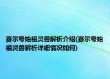 賽爾號始祖靈獸解析介紹(賽爾號始祖靈獸解析詳細情況如何)