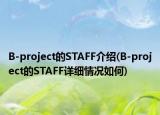 B-project的STAFF介紹(B-project的STAFF詳細情況如何)
