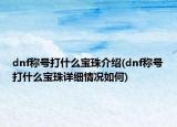 dnf稱號打什么寶珠介紹(dnf稱號打什么寶珠詳細情況如何)
