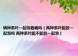 倆種茶葉一起泡著喝嗎（兩種茶葉能放一起泡嗎 兩種茶葉能不能放一起泡）