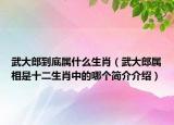 武大郎到底屬什么生肖（武大郎屬相是十二生肖中的哪個簡介介紹）