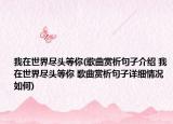 我在世界盡頭等你(歌曲賞析句子介紹 我在世界盡頭等你 歌曲賞析句子詳細情況如何)