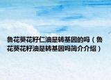 魯花葵花籽仁油是轉(zhuǎn)基因的嗎（魯花葵花籽油是轉(zhuǎn)基因嗎簡介介紹）