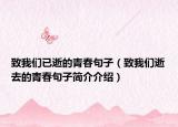 致我們已逝的青春句子（致我們逝去的青春句子簡介介紹）