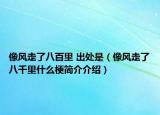 像風(fēng)走了八百里 出處是（像風(fēng)走了八千里什么梗簡介介紹）