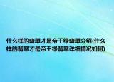 什么樣的翡翠才是帝王綠翡翠介紹(什么樣的翡翠才是帝王綠翡翠詳細(xì)情況如何)