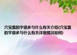 穴寶蓋的字很多與什么有關(guān)介紹(穴寶蓋的字很多與什么有關(guān)詳細(xì)情況如何)