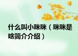 什么叫小咪咪（咪咪是啥簡(jiǎn)介介紹）