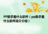 PP助手是什么軟件（pp助手是什么軟件簡(jiǎn)介介紹）