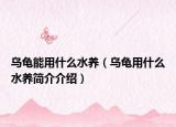 烏龜能用什么水養(yǎng)（烏龜用什么水養(yǎng)簡介介紹）
