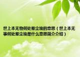 世上本無(wú)物何處惹塵埃的意思（世上本無(wú)事何處惹塵埃是什么意思簡(jiǎn)介介紹）