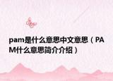 pam是什么意思中文意思（PAM什么意思簡介介紹）