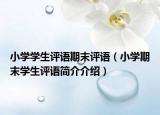 小學學生評語期末評語（小學期末學生評語簡介介紹）