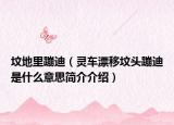 墳地里蹦迪（靈車漂移墳頭蹦迪是什么意思簡介介紹）