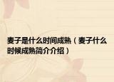 麥子是什么時間成熟（麥子什么時候成熟簡介介紹）