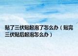 貼了三伏貼起泡了怎么辦（貼完三伏貼后起泡怎么辦）