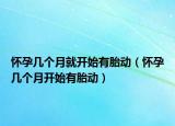懷孕幾個月就開始有胎動（懷孕幾個月開始有胎動）