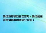 魯迅還有哪些名言警句（魯迅的名言警句都有哪些簡(jiǎn)介介紹）