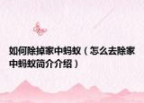 如何除掉家中螞蟻（怎么去除家中螞蟻簡介介紹）