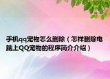 手機(jī)qq寵物怎么刪除（怎樣刪除電腦上QQ寵物的程序簡(jiǎn)介介紹）