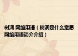 樹(shù)洞 網(wǎng)絡(luò)用語(yǔ)（樹(shù)洞是什么意思網(wǎng)絡(luò)用語(yǔ)簡(jiǎn)介介紹）