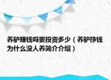 養(yǎng)驢賺錢嗎要投資多少（養(yǎng)驢掙錢為什么沒人養(yǎng)簡(jiǎn)介介紹）
