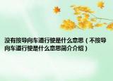 沒有按導(dǎo)向車道行駛是什么意思（不按導(dǎo)向車道行駛是什么意思簡介介紹）