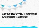 巴西龜冬眠需要什么?（巴西龜冬眠嗎冬眠需要什么簡介介紹）